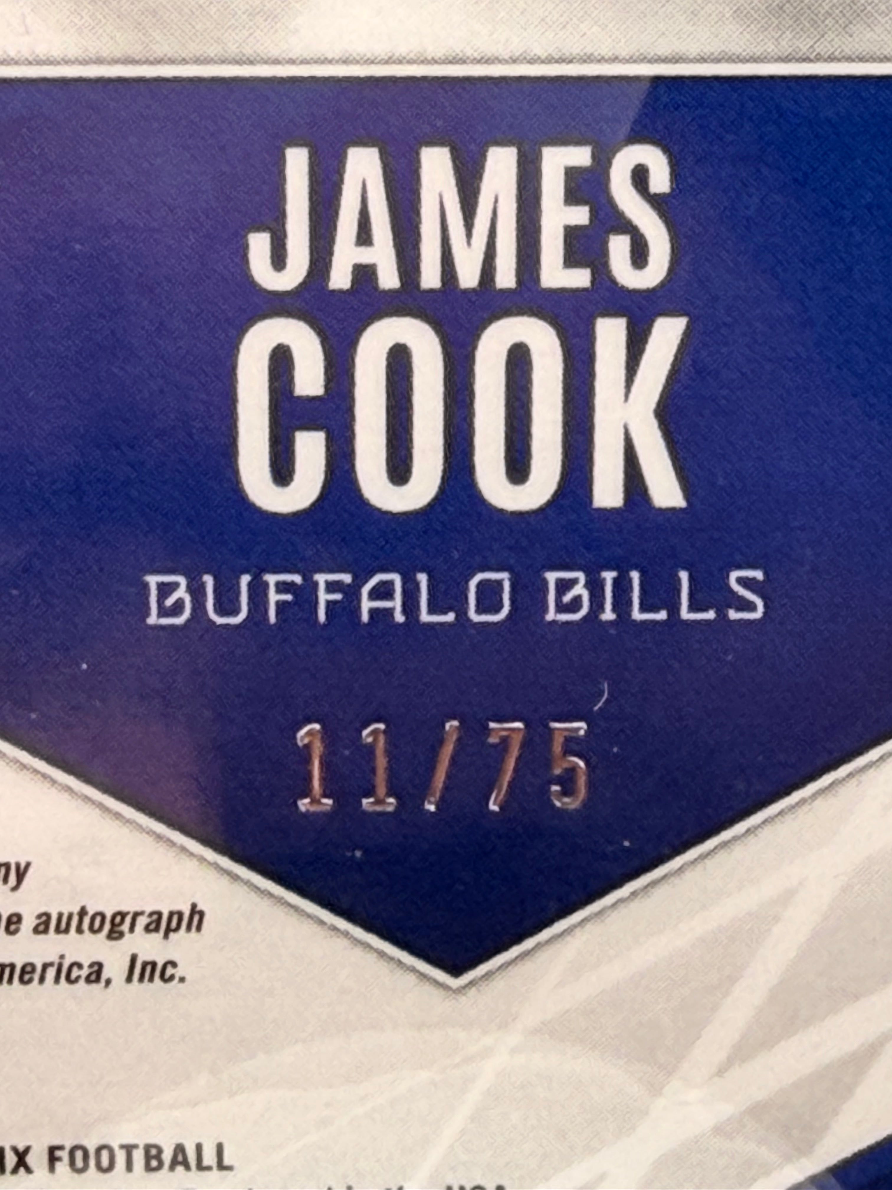 2022 Phoneix James cook rookie auto /75