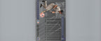 1995 Leaf Limited #3 Wade Boggs Bat Patrol