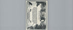 2023 Topps Allen & Ginter #TT-15 Gyrfalcon Talonted