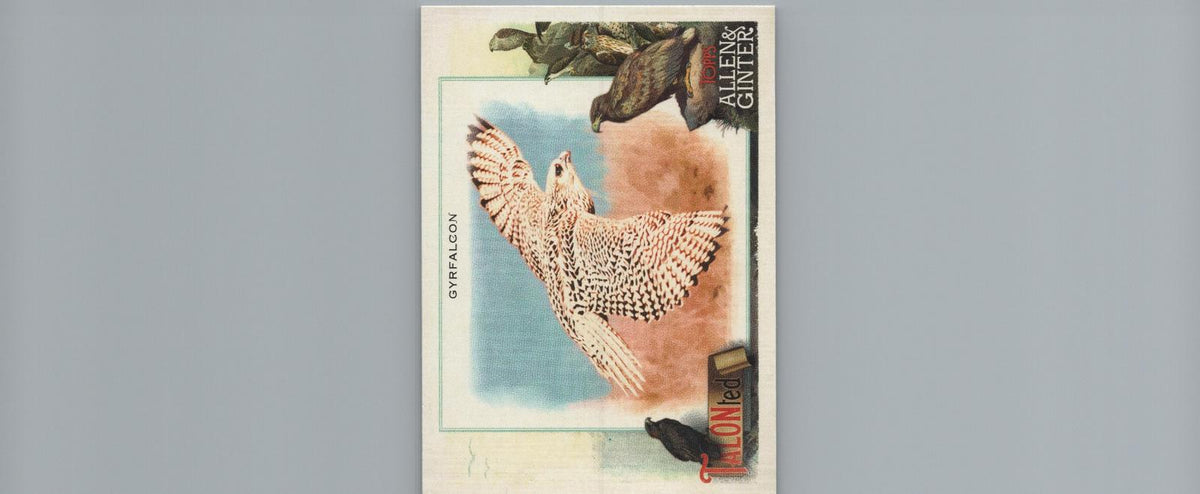 2023 Topps Allen & Ginter #TT-15 Gyrfalcon Talonted