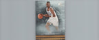2013-14 SP Authentic #CC-11 Anfernee Hardaway Canvas Collection